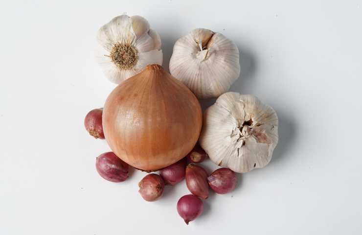 spicchi d'aglio e cipolla