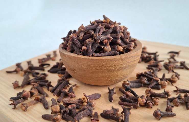 ciotola con chiodi di garofano