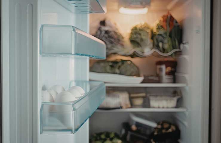 guarnizione del frigorifero con porta aperta