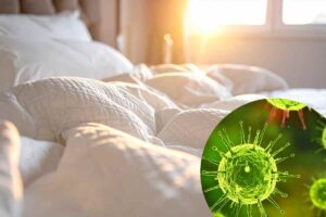 germi e batteri sul letto