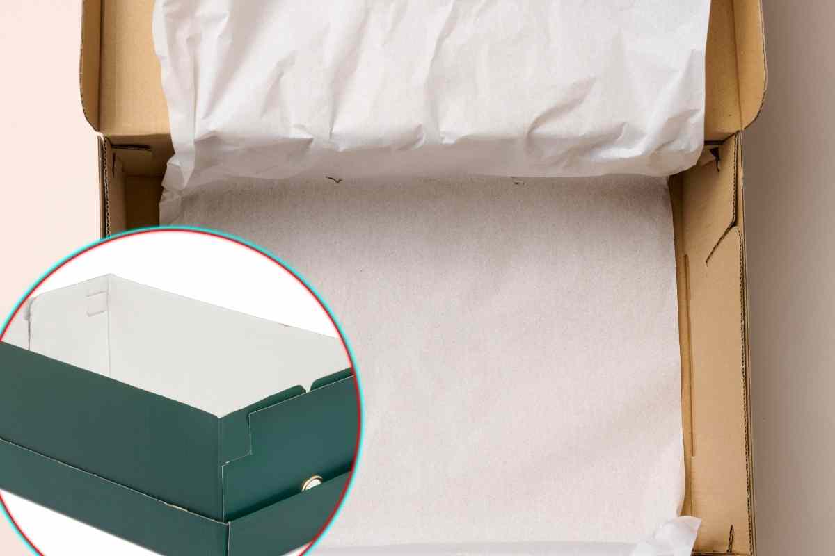 scatola scarpe vuota