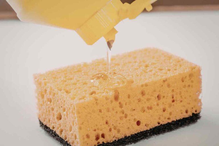 spugnetta per piatti