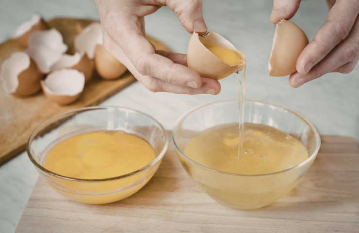 separazione albumi dai tuorli